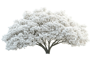 Obraz premium Green tree on transparent background.