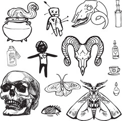 Line Set Witch item Halloween Clip art human skull outline moth butterfly contour cauldron candle bottle Voodoo Broom Magic Hand drawing design element illustration Occult Symbol graphic animal skull