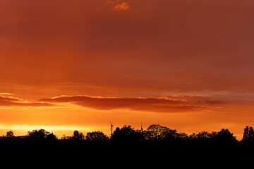 sky is orange and the trees are silhouetted against the sky