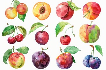 A vibrant collection of watercolor fruits featuring peaches, cherries, and plums, perfect for fresh and artistic designs.