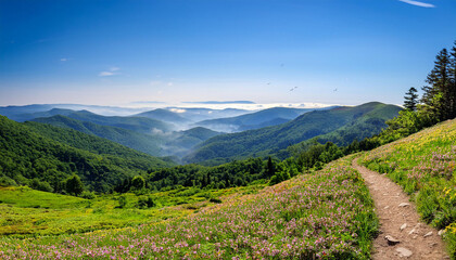Fototapeta premium Springtime in the Appalachian Mountains