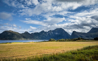 Fototapeta premium Farmland in Arctic Norway, on a sunny summer day