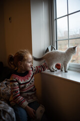 Red-haired girl in a cozy sweater and white fluffy ragdoll kitten look out the window together