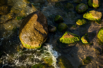 A river which is filled with numerous rocks and lush green moss on them