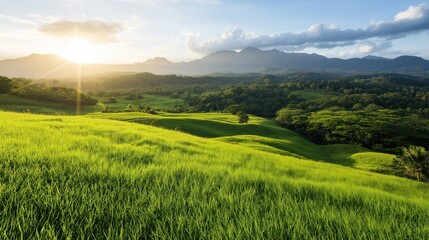 Obraz premium Golden sunlight breaks over rolling green hills, illuminating the vibrant landscape while majestic mountains rise in the distance, creating a peaceful natural setting
