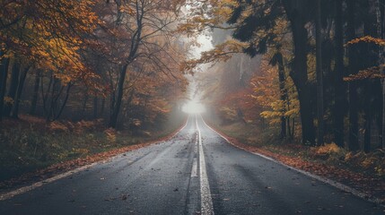 Fototapeta premium An empty, misty road through a dense forest, showcasing vibrant fall colors with leaves carpeting the sides, giving an ethereal, serene atmosphere.