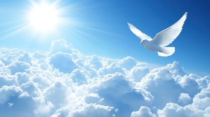 Fototapeta premium A dove glides gracefully above soft clouds, basking in the warmth of the sun on a clear blue day