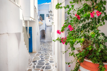 Fototapeta premium Colorful romantic view of white village houses with bougainvillea flowers, Naxos, Greece
