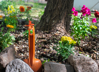 beautiful flower garden of many colors