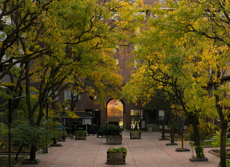 autumn in the park