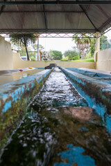 Parque do Rio Novo, Parque de Merenda de Mamarosa, Oliveira do bairro, Portugal.