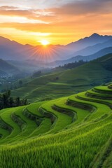 Obraz premium Sunset over lush terraced rice fields in mountainous landscape with vibrant sky