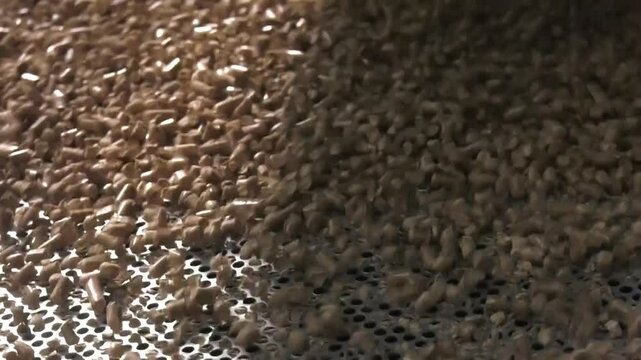 Pellet production process for home heating
