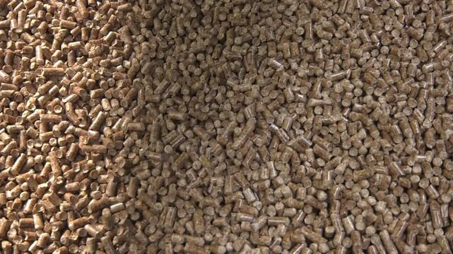 Pellet production process for home heating