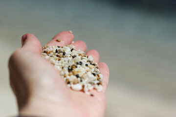 hand holding coarse sand particles close up. Black white sand particles