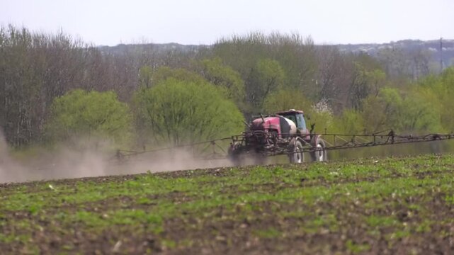 View of farming tractor spraying on field with sprayer, herbicides and pesticides at sunset. Farm machinery spraying insecticide to the green field, agricultural natural seasonal spring works-1