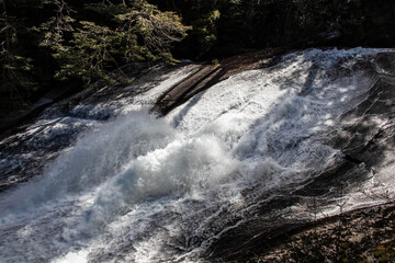 waterfall in the forest