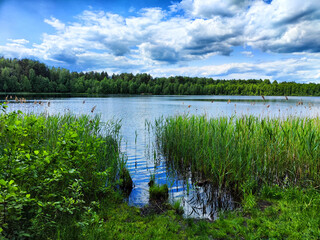 Calm lake reflects autumn trees in a serene landscape near a bridge on a clear day