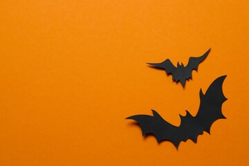 Halloween decorations. Black bats on color background