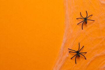 Halloween holiday decorations including cobwebs and spiders on a color background