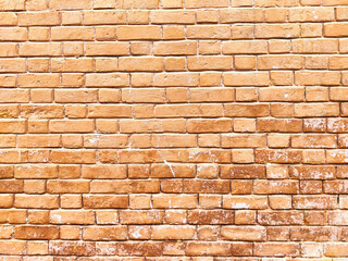 The surface of the brick wall displays distinct textures and rich orange hues, with signs of weathering throughout the structure