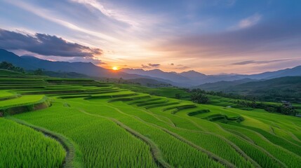 Fototapeta premium Stunning sunrise over terraced rice fields in a mountainous landscape during early morning hours