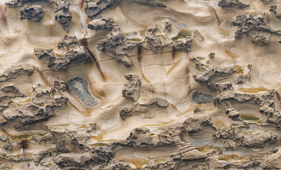 Textured sandstone surface with erosion patterns