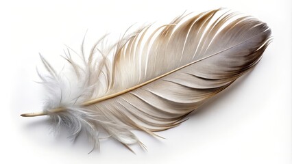 Obraz premium Single grey feather is lying on a white background, creating a delicate and minimalist composition