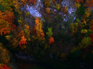 Colorful forest during autumn day in Macocha cave with colorful foliage