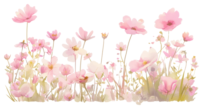 PNG Delicate watercolor pink flower illustration