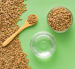 Lens culinaris - Brown lentils and water in the bowl.
