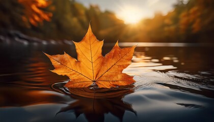 Maple leaf on a dark autumn water in the river 