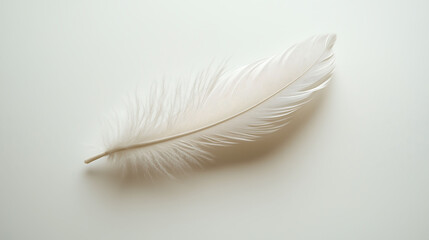 Minimalist Feather Suspended Against a White Background, Showcasing Soft and Simple Design