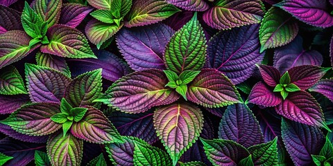 Vibrant Mulberry Background with Rich Dark Purple and Green Leaves Ideal for Textures and Designs