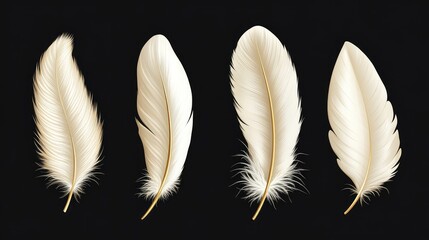 High-Resolution Image of Isolated Goose or Swan Quill Set with Golden Feathers, Realistic Falling Fluffy Bird Plume