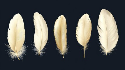 High-Resolution Image of Isolated Goose or Swan Quill Set with Golden Feathers, Realistic Falling Fluffy Bird Plume