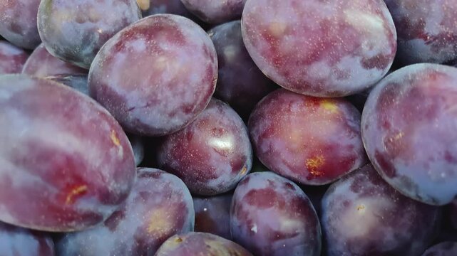 Fresh Damsons Plum on Market Counter Glowing in the Sunlight Footage.