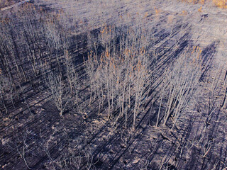 mountain burnt by a summer forest fire in Spain, climate change concept