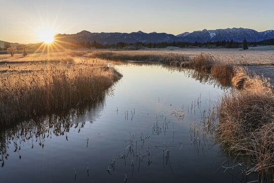 Sunrise on a quiet river in front of mountains, hoarfrost, Ach estuary, near Murnau, Bavarian Alps behind, Bavaria, Germany, Europe