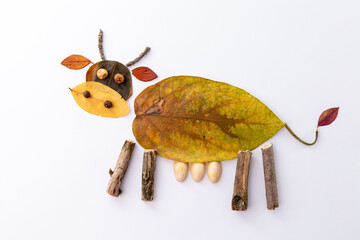 DIY leaf craft, various colorful dead leaves,