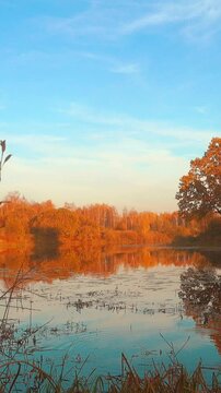 Beautiful autumn landscape, forest and calm water