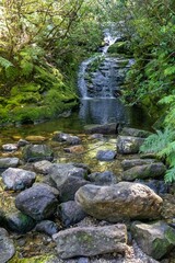 Small waterfall on The Pinnacles bush walk hiking trail in the Kauaeranga Valley, Coromandel Peninsula, Waikato, New Zealand.