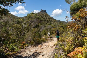 Fototapeta premium Hikers on The Pinnacles bush walk hiking trail in the Kauaeranga Valley, Coromandel Peninsula, Waikato, New Zealand.