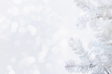 A sparkling white Christmas backdrop with delicate frosted branches
