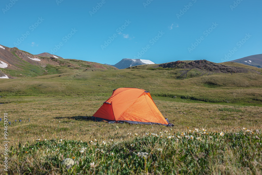 Wall mural sunlit orange tent on alpine grassy glade near white flowers of dryas among green rocky hills agains