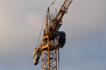 Naklejka premium Crane looking up into the sky