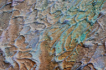 colorful abstract painting with swirls, scattered, speckles - lichen on a rock, lichen on the bark of a tree, texture of the bark of a tree