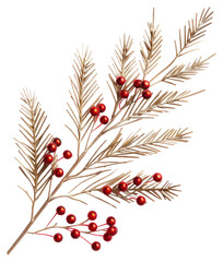 PNG Gold Fir branch decoration christmas berries.