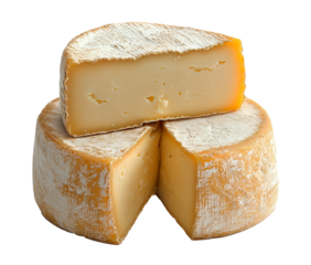 Canastra Cheese on transparent background
