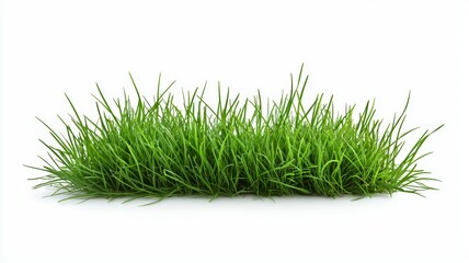 A field of grass is shown on a white background